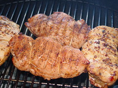 Grilled Cranberry Stuffed Turkey Breast