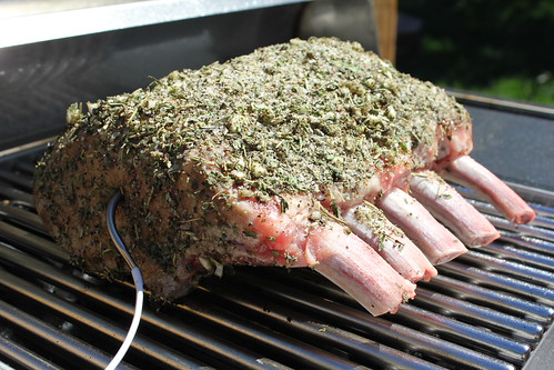 Through the Eye of an Outdoor Cook