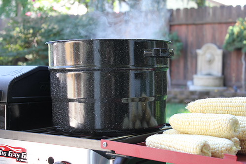 My first batch of Freezer corn