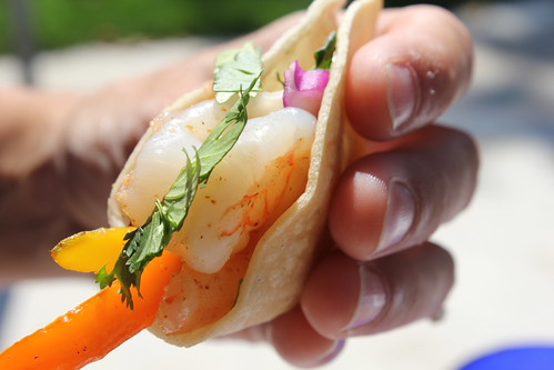 Through the Eye of an Outdoor Cook