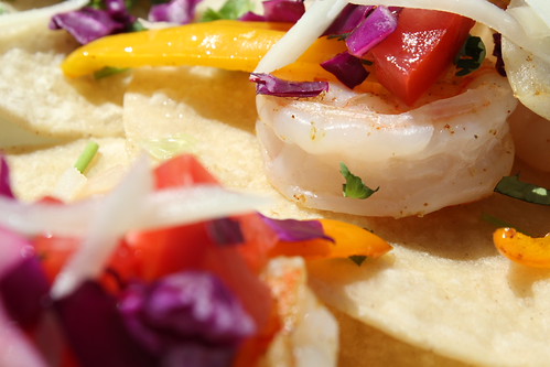 Through the Eye of an Outdoor Cook