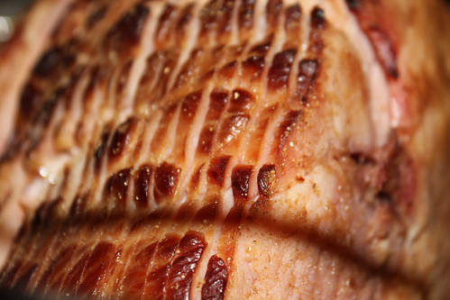 Through the Eye of an Outdoor Cook