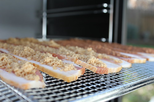 Bacon Candy with Camp Chef Smoke Vault