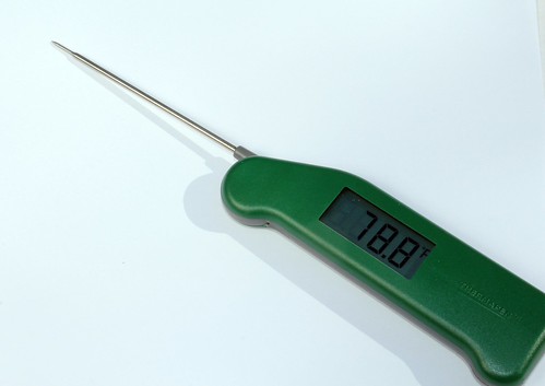 My British Racing Green Thermapen