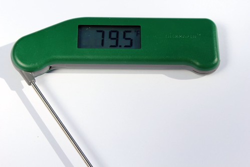 My British Racing Green Thermapen