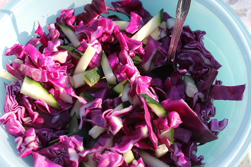 The Best Coleslaw Recipe I Ever Made