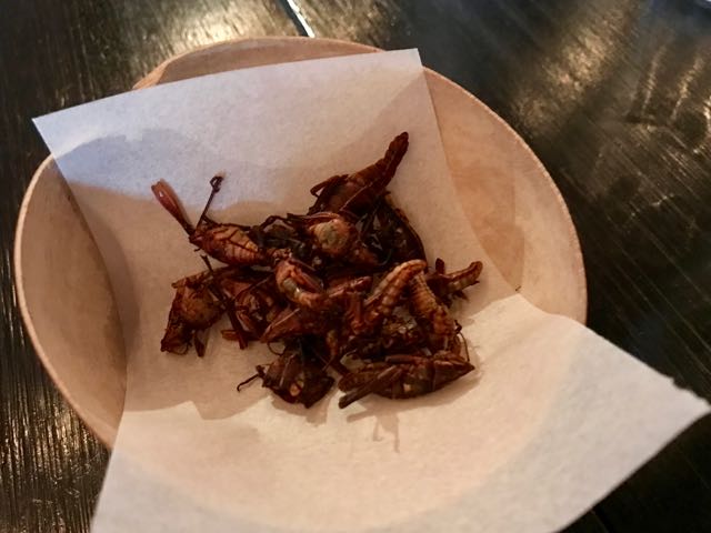 Chapulines - Roasted Grasshoppers | NevertoOldtoTravel.com | Gary House