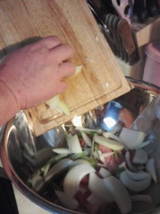 Add onion to meat.