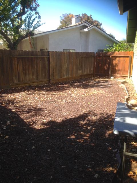 Goodbye Playground – Hello Organic Garden