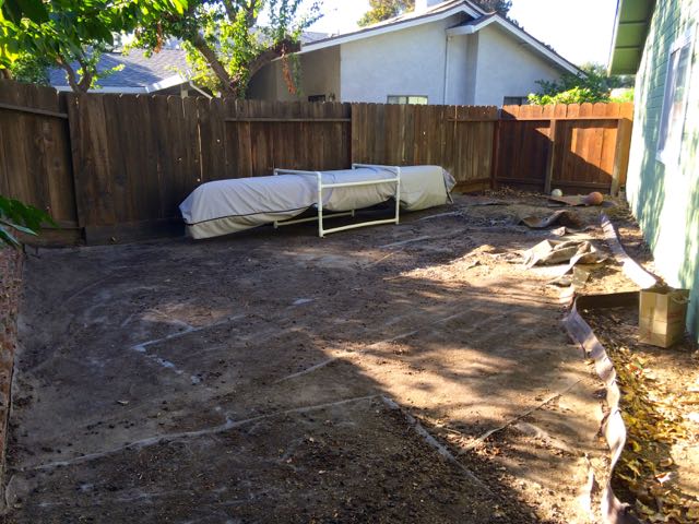 Empty side yard for my organic garden