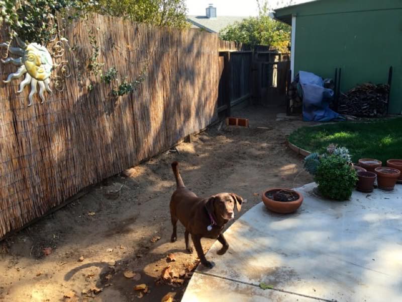 Outdoor Kitchen Oct 2015 - Bailey | Cooking-Outdoors.com | Gary House