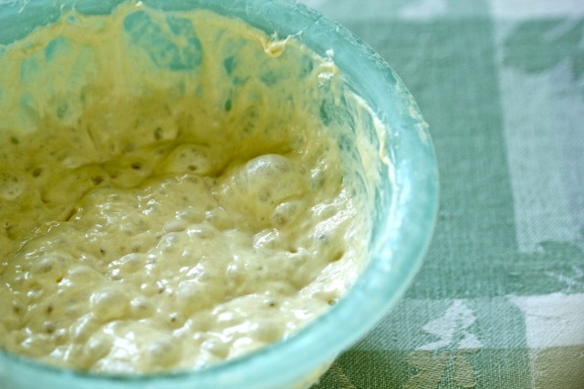 Potato bread sponge | Cooking-Outdoors.com | Gary House