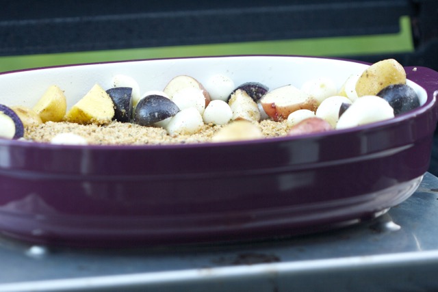 Sitting on the Grill Plate