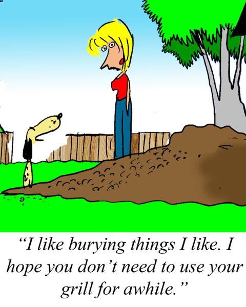 Sunday Morning Comics February 15, 2015