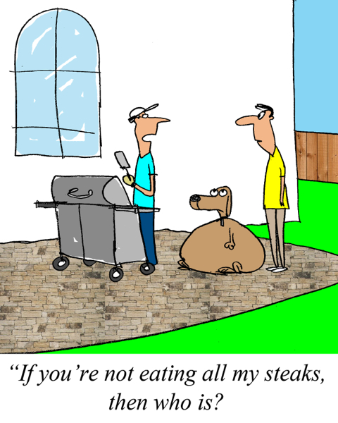 Sunday Morning Comics July 27, 2014