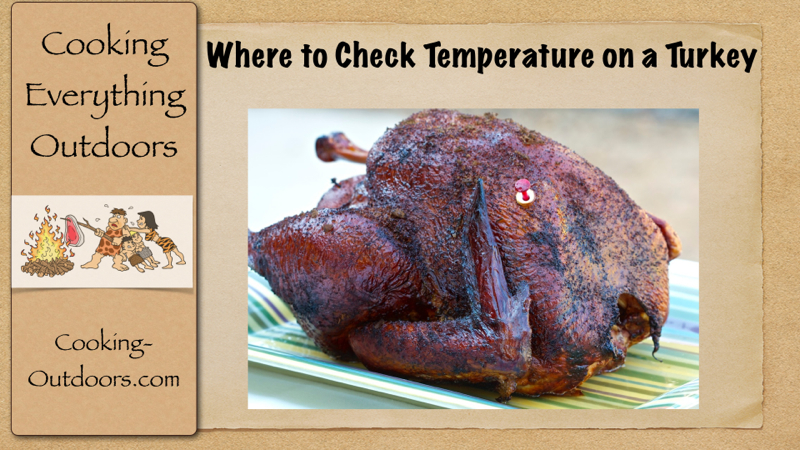 Where to Check Temperature on a Turkey